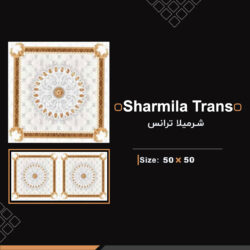 سرامیک 50 در 50 شرمیلا ترانس